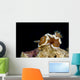Brown-margin Glossodoris Nudibranch New Wall Decal