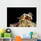 Brown-margin Glossodoris Nudibranch New Wall Decal