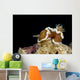 Brown-margin Glossodoris Nudibranch New Wall Decal