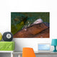 Holthus' Anemone Shrimp Cleaning Wall Decal