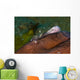 Holthus' Anemone Shrimp Cleaning Wall Decal