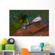 Holthus' Anemone Shrimp Cleaning Wall Decal