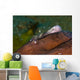 Holthus' Anemone Shrimp Cleaning Wall Decal