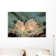 Halgerda Batangas Nudibranch New Wall Decal