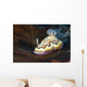 Co's Goniobranchus Nudibranch Wall Decal