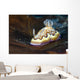 Co's Goniobranchus Nudibranch Wall Decal