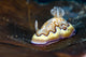 Co's Goniobranchus Nudibranch Wall Decal