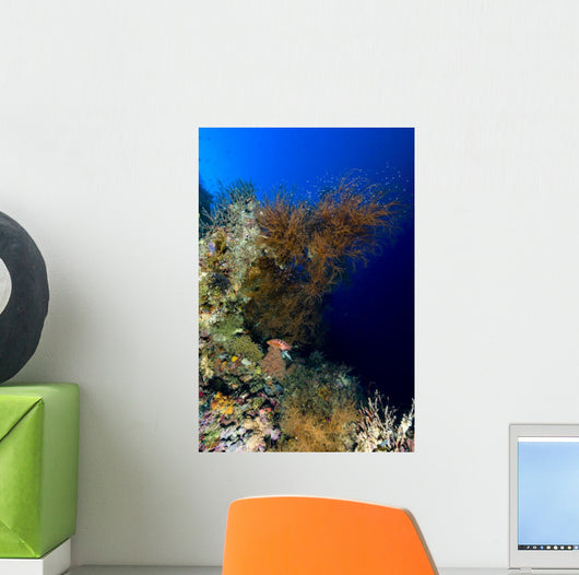 Reef Scene New Ireland Wall Decal