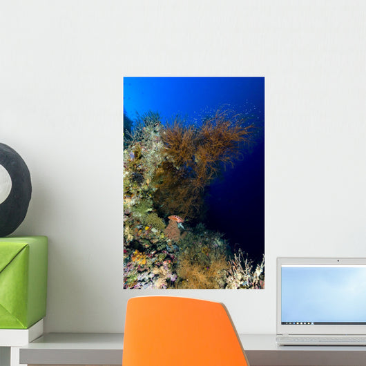 Reef Scene New Ireland Wall Decal