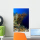 Reef Scene New Ireland Wall Decal
