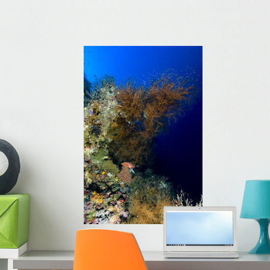 Reef Scene New Ireland Wall Decal