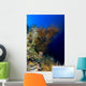 Reef Scene New Ireland Wall Decal