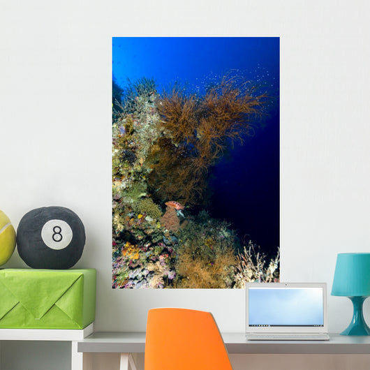 Reef Scene New Ireland Wall Decal