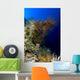 Reef Scene New Ireland Wall Decal