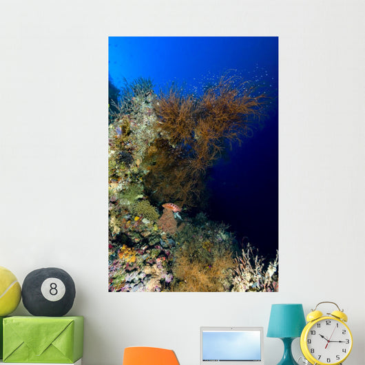 Reef Scene New Ireland Wall Decal