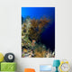 Reef Scene New Ireland Wall Decal