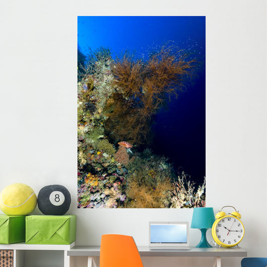Reef Scene New Ireland Wall Decal