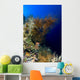 Reef Scene New Ireland Wall Decal
