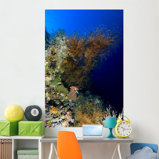 Reef Scene New Ireland Wall Decal