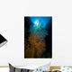 Sea Fans with Sunlight Wall Decal