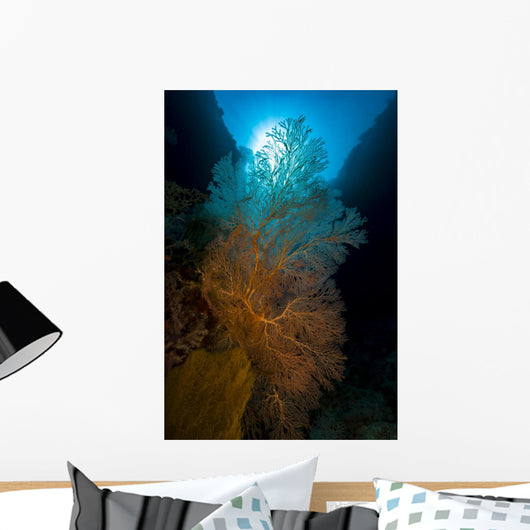 Sea Fans with Sunlight Wall Decal