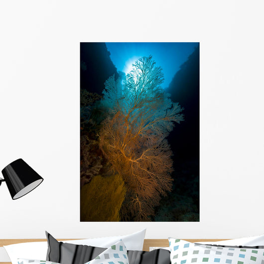Sea Fans with Sunlight Wall Decal