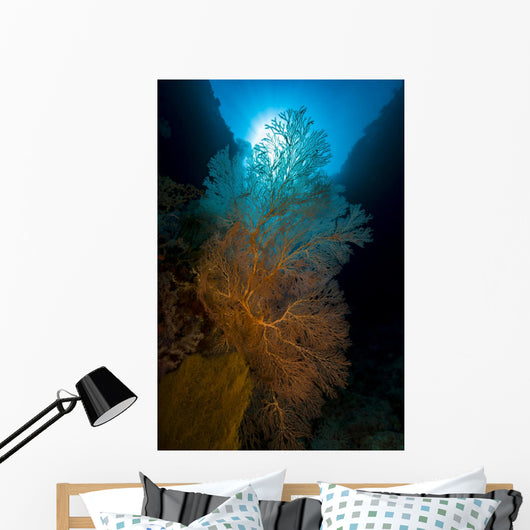 Sea Fans with Sunlight Wall Decal