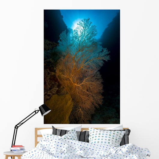Sea Fans with Sunlight Wall Decal