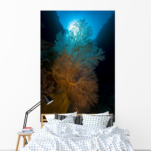 Sea Fans with Sunlight Wall Decal