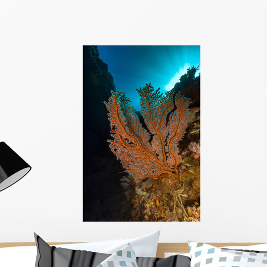 Gorgonian Sea Fan with Wall Decal