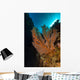 Gorgonian Sea Fan with Wall Decal
