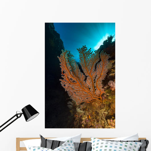 Gorgonian Sea Fan with Wall Decal