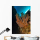Gorgonian Sea Fan with Wall Decal