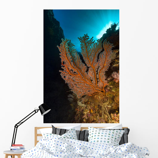 Gorgonian Sea Fan with Wall Decal