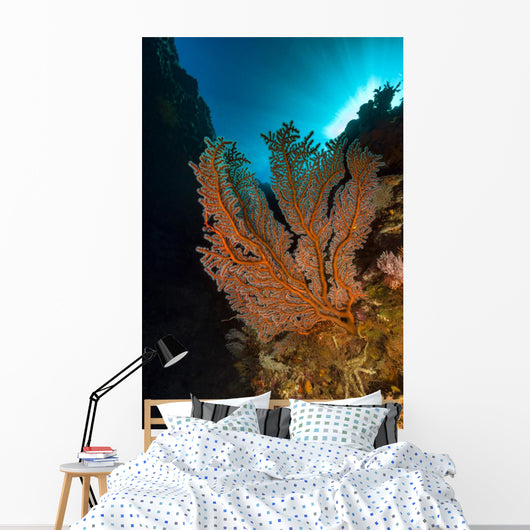 Gorgonian Sea Fan with Wall Decal