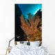 Gorgonian Sea Fan with Wall Decal