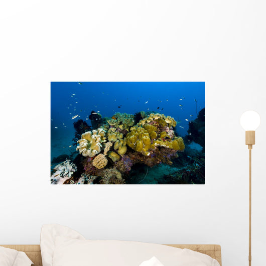 Reefscape New Ireland Papua Wall Decal