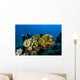 Reefscape New Ireland Papua Wall Decal