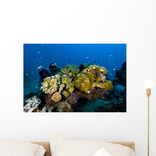 Reefscape New Ireland Papua Wall Decal