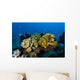 Reefscape New Ireland Papua Wall Decal