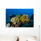 Reefscape New Ireland Papua Wall Decal