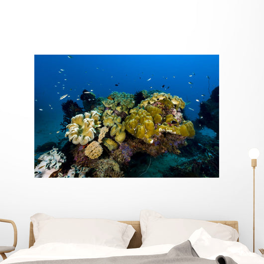 Reefscape New Ireland Papua Wall Decal