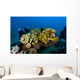 Reefscape New Ireland Papua Wall Decal
