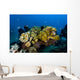 Reefscape New Ireland Papua Wall Decal