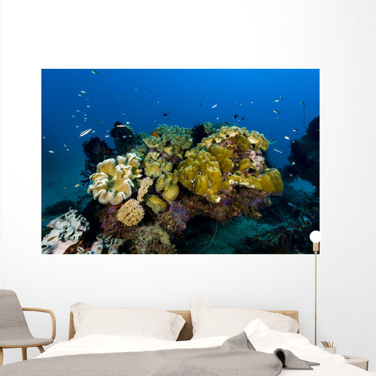 Reefscape New Ireland Papua Wall Decal