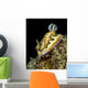Co's Goniobranchus Nudibranch Vertical Wall Decal