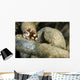 Juvenile Many-spotted Sweetlip Fish Wall Decal