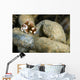 Juvenile Many-spotted Sweetlip Fish Wall Decal