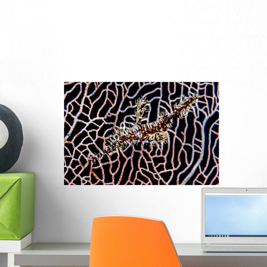 Ornate Ghost Pipefish Sea Wall Decal