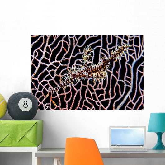 Ornate Ghost Pipefish Sea Wall Decal
